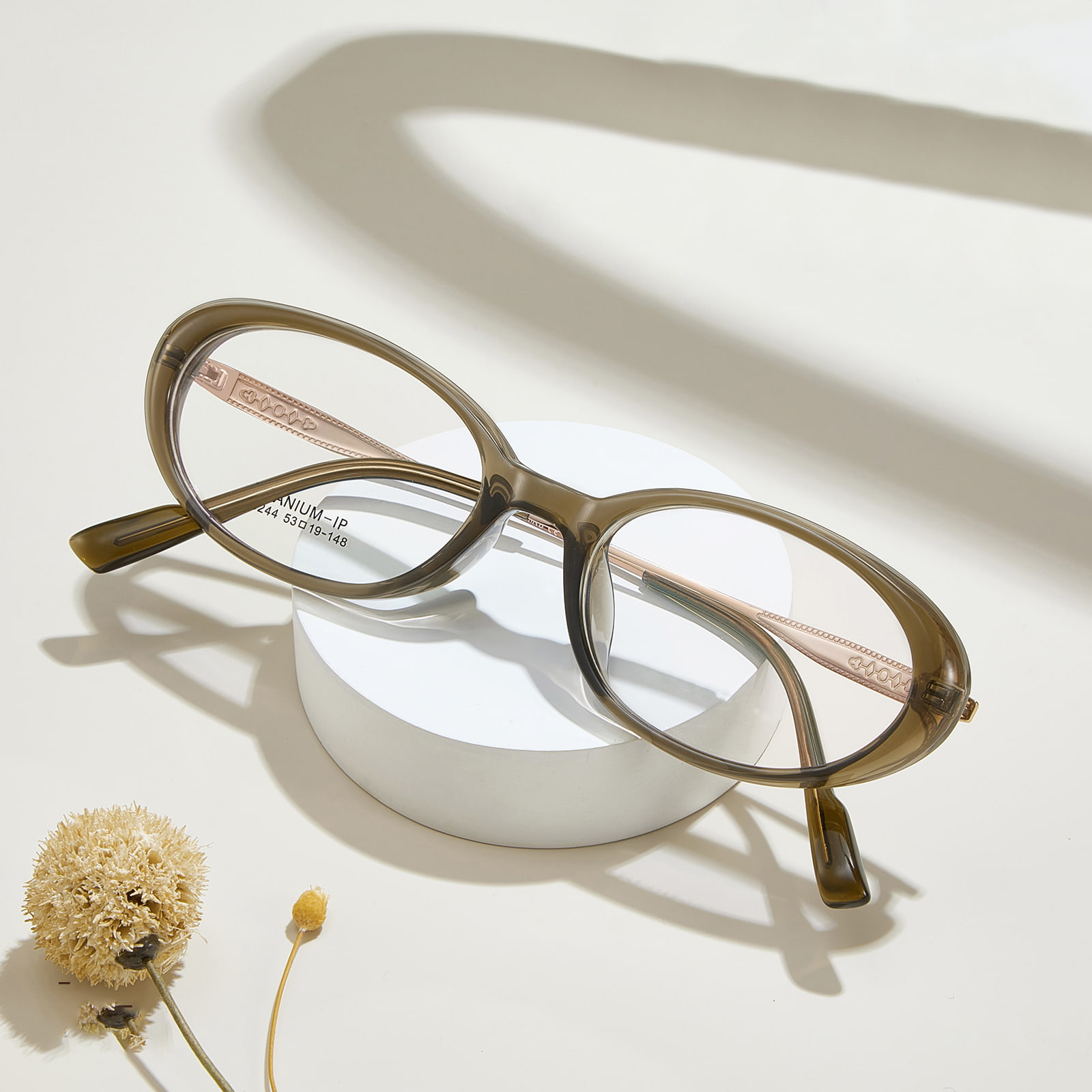 M8244 Ovale, korrosionsbeständige β-Titanbrille mit breitem Rand