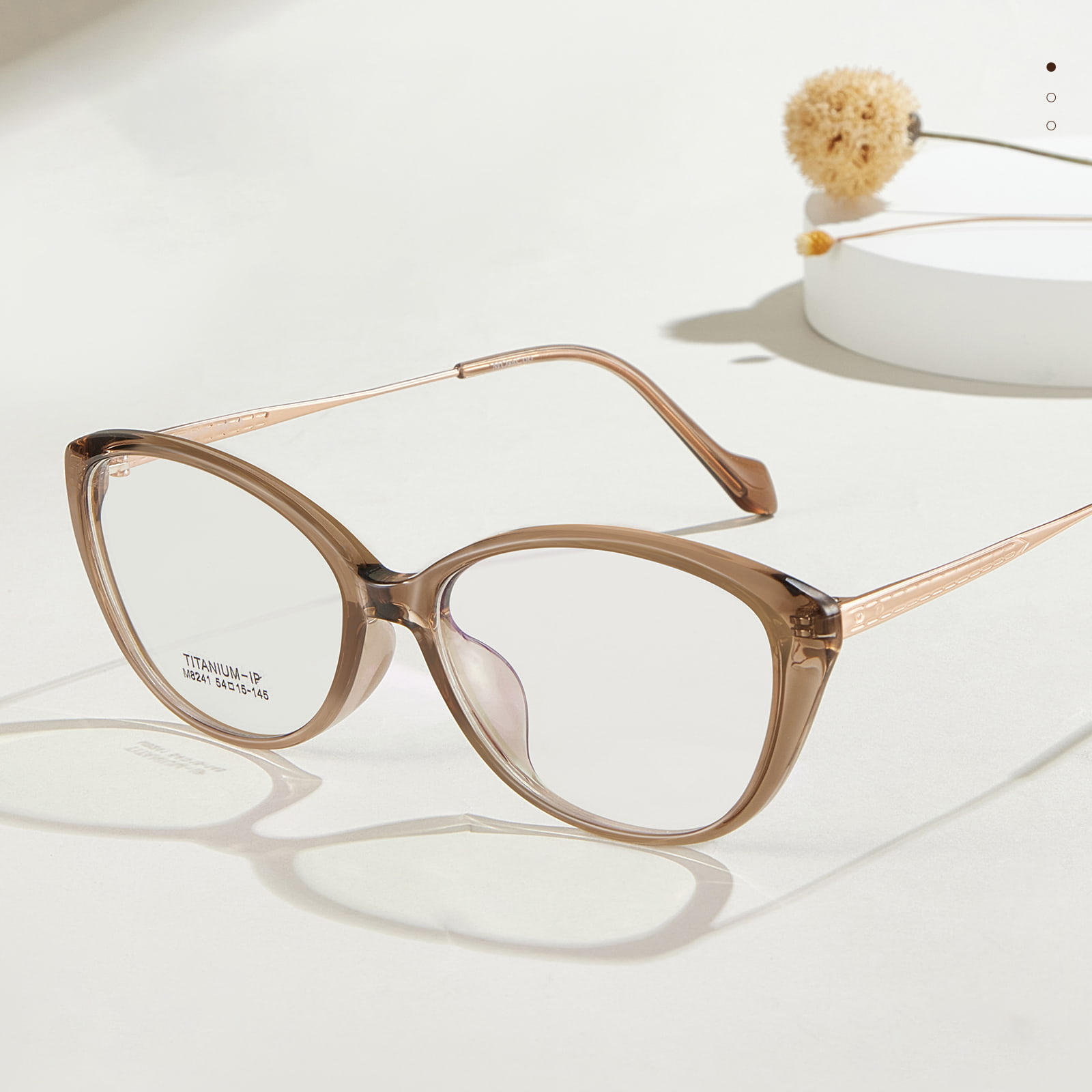 M8241 Biegbare geprägte Titanbeine β Titanbrille